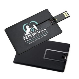 Chipset USB Flash Drive - 8GB