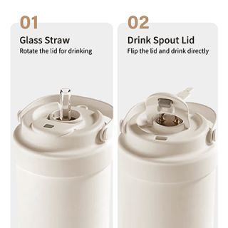 GOLD Dual Lid 316 S.Steel Bottle with Straw Handle - 500ml