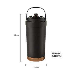 GOLD Dual Lid 316 S.Steel Bottle with Straw Handle - 500ml