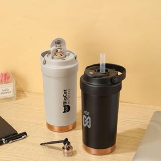 GOLD Dual Lid 316 S.Steel Bottle with Straw Handle – 500ml