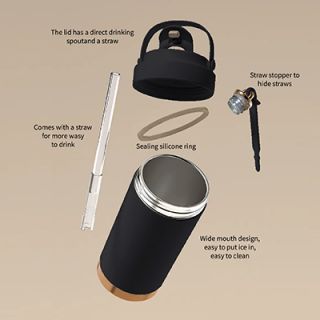 GOLD Dual Lid 316 S.Steel Bottle with Straw Handle - 500ml