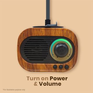 Gramophone Vintage Bluetooth Speaker with FM Radio - 1200mAh