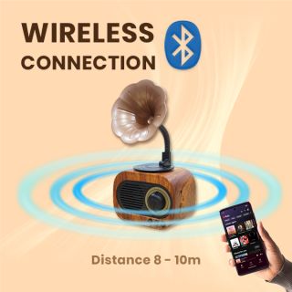 Gramophone Vintage Bluetooth Speaker with FM Radio - 1200mAh