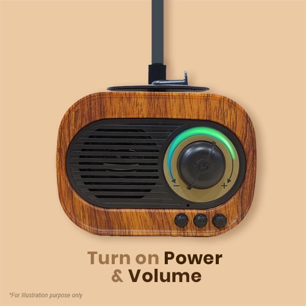 Gramophone Vintage Bluetooth Speaker with FM Radio - 1200mAh