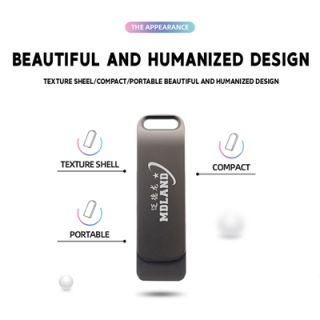 Metal Swing Black USB Flash Drive - 8GB