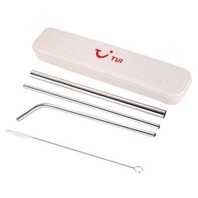 4-in-1 Silver Stainless Steel Drinking Straw Gifts Set